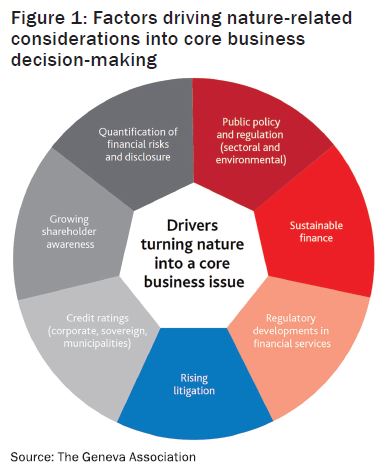 Factors driving nature-related considerations into core business decision-making